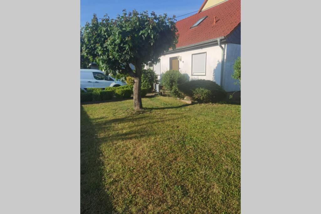 Wohnung Naehe Losheimer Stausee Niederlosheim Ngoại thất bức ảnh