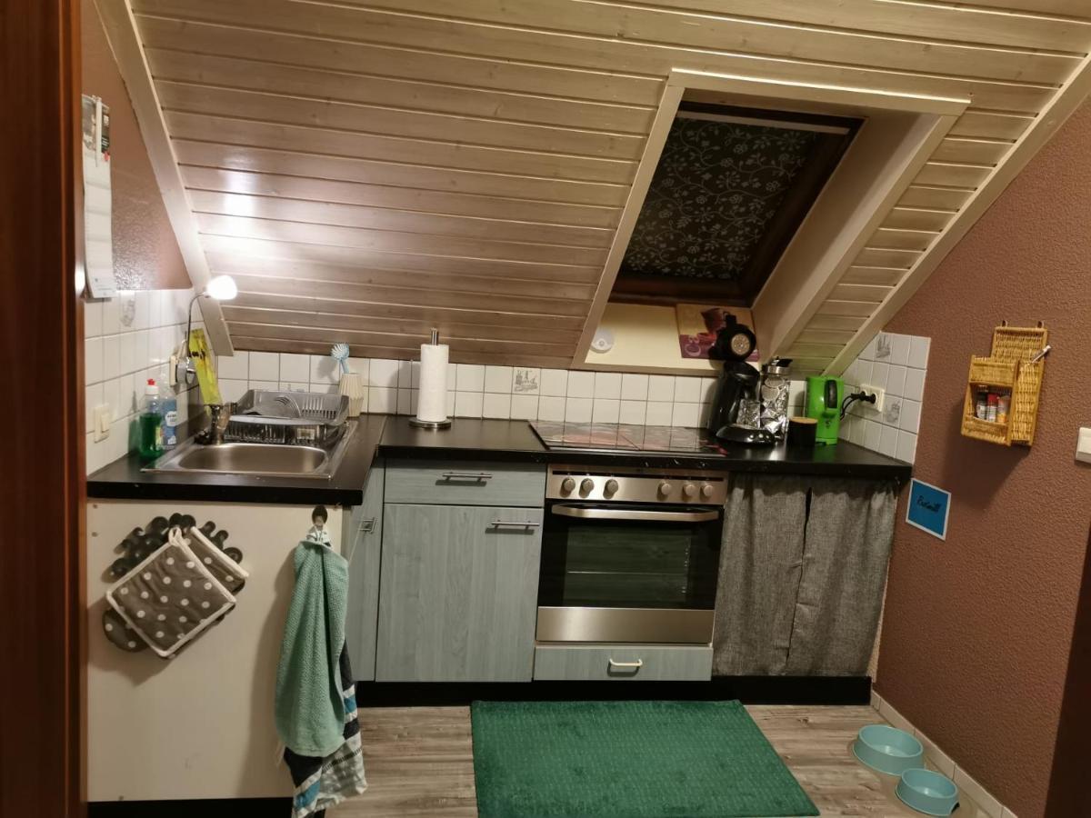 Wohnung Naehe Losheimer Stausee Niederlosheim Ngoại thất bức ảnh